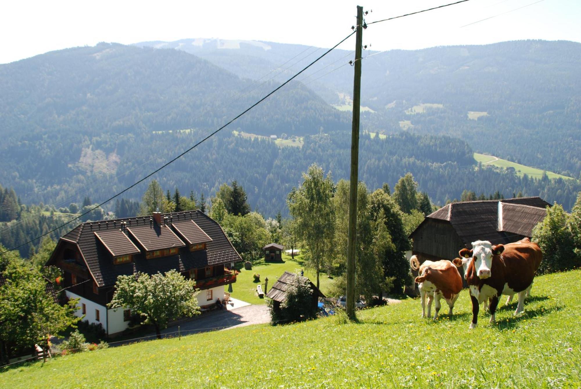 Ferienwohnung Lahnerhof Arriach Exterior foto